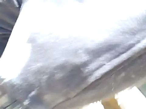 Snapshot of Diablo9804 chatting on March 10, 2026, 6:45 pm Diablo9804 online show from March 10, 2026, 6:45 pm