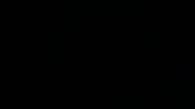 XXEBONYTEAZERXX online show from March 8, 2026, 4:05 am