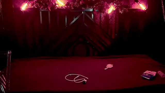 Snapshot of Tinker_Belll chatting on January 6, 2026, 8:02 pm Tinker Belll online show from January 6, 2026, 8:02 pm