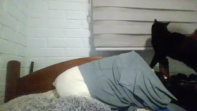 Snapshot of hung_weeb chatting on July 26, 2026, 5:14 am hung weeb online show from July 26, 2026, 5:14 am
