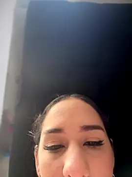 Snapshot of __IRIS__ chatting on November 13, 2025, 5:17 pm IRIS online show from November 13, 2025, 5:17 pm