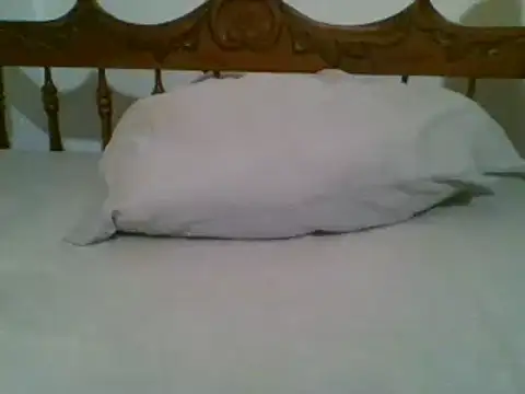 Snapshot of bbccol1 chatting on March 17, 2025, 9:35 pm bbccol1 online show from March 17, 2025, 9:35 pm