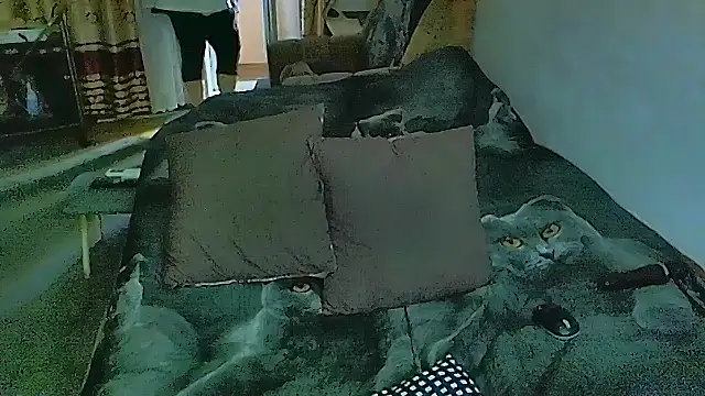 sex2 online show from November 17, 2025, 7:34 am