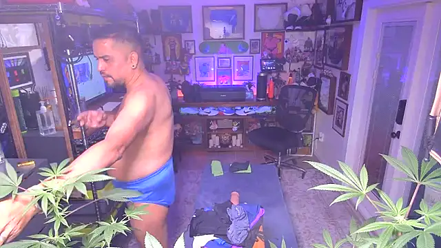 Briefs bud online show from December 16, 2024, 3:19 am