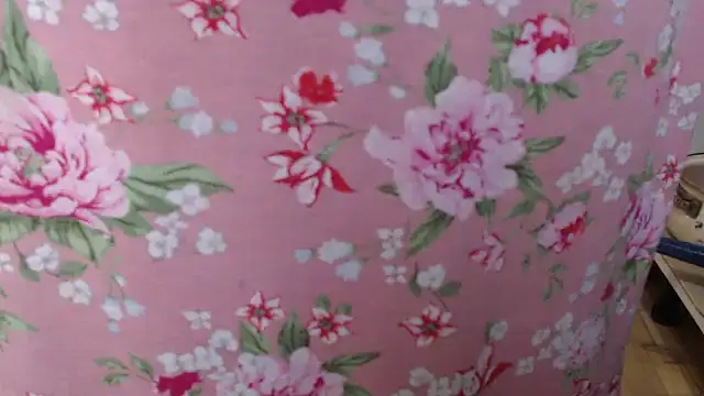 Snapshot of Anabelldestiny chatting on November 19, 2025, 6:46 am Anabelldestiny online show from November 19, 2025, 6:46 am