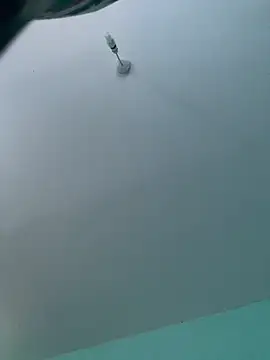 Snapshot of Spunkarama1 chatting on January 29, 2025, 10:16 am Spunkarama1 online show from January 29, 2025, 10:16 am