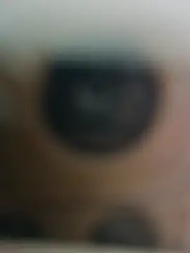 hornydick4you online show from January 23, 2025, 8:57 am