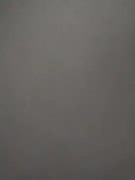 Baumhackel online show from February 8, 2026, 11:52 am