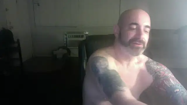 palidin1 online show from February 6, 2026, 4:52 am