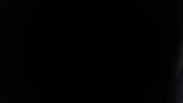 Snapshot of palidin1 chatting on July 13, 2026, 1:49 am palidin1 online show from July 13, 2026, 1:49 am