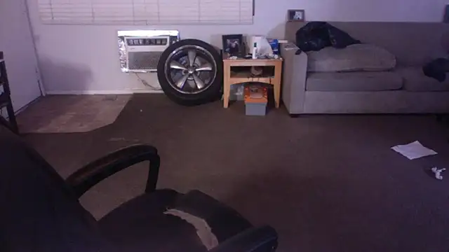 palidin1 online show from April 17, 2026, 7:33 am