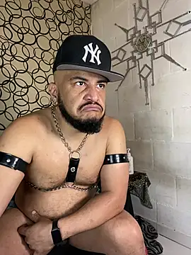 the master foal  online show from March 13, 2026, 12:43 pm