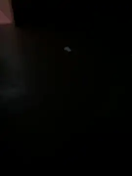 MALEHYPER online show from December 2, 2025, 8:21 pm