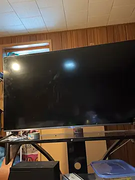 Mini And The Bear online show from March 29, 2026, 3:02 pm