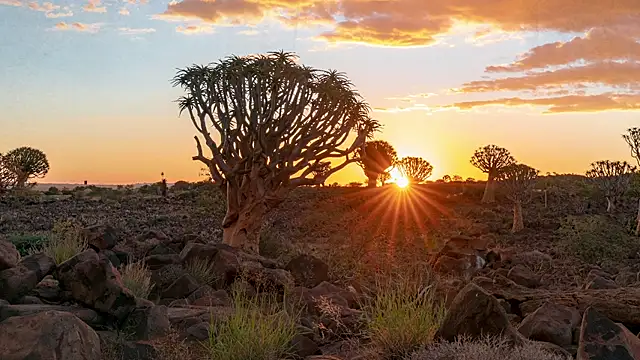 HannaMoom online show from October 28, 2025, 10:52 pm