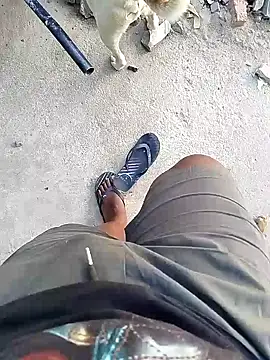 TitularAdaption online show from February 19, 2026, 6:54 am