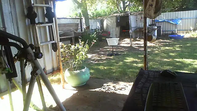 Snapshot of herbie010666 chatting on April 24, 2026, 4:14 am herbie010666 online show from April 24, 2026, 4:14 am