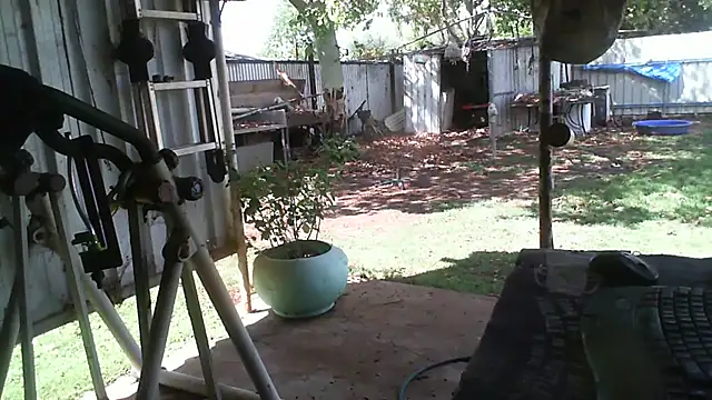 herbie010666 online show from November 20, 2025, 4:46 am