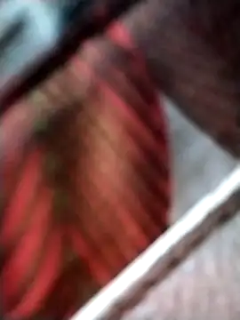 Snapshot of Keyla01_ chatting on November 7, 2025, 10:42 am Keyla01 online show from November 7, 2025, 10:42 am