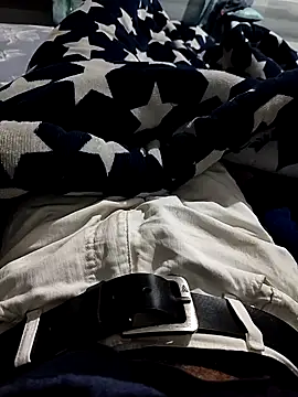 Snapshot of Player_Aadi chatting on January 3, 2025, 12:11 am Player Aadi online show from January 3, 2025, 12:11 am