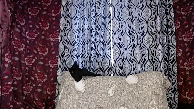 Snapshot of EmilyDoth chatting on November 29, 2025, 4:34 am EmilyDoth online show from November 29, 2025, 4:34 am