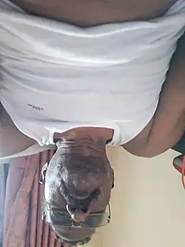 Maddymissile online show from March 16, 2026, 8:40 am