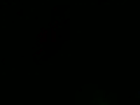 Sexyrkv91 online show from January 19, 2025, 5:28 pm