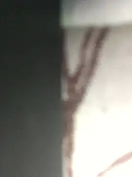 JessicaSissySlut69 online show from March 7, 2025, 8:34 am