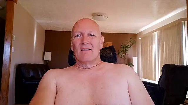 BasicAnt online show from July 12, 2026, 2:29 pm