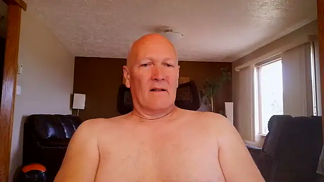 BasicAnt online show from June 16, 2026, 2:28 pm