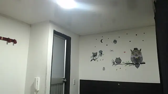 stifen  online show from January 31, 2025, 3:41 am