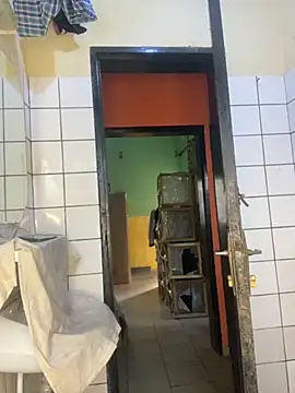 vannycov online show from November 18, 2025, 7:44 am