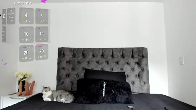 sweet  wild online show from February 10, 2026, 8:19 pm