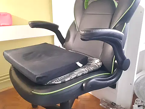 Snapshot of feathersify chatting on September 29, 2025, 8:32 am feathersify online show from September 29, 2025, 8:32 am