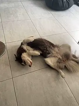 Snapshot of cutesarah_ chatting on January 26, 2025, 4:30 pm cutesarah  online show from January 26, 2025, 4:30 pm