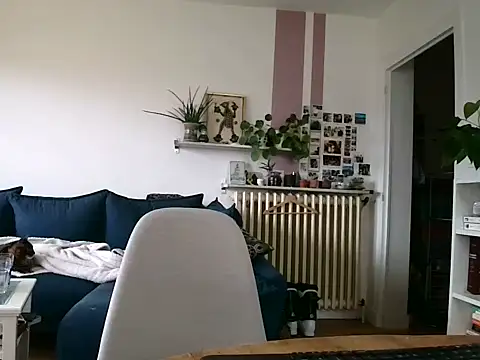 Simon-tem online show from February 5, 2026, 1:40 pm