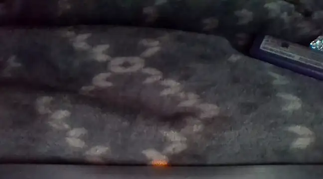 Snapshot of peaches_playz chatting on February 18, 2025, 6:26 pm peaches playz online show from February 18, 2025, 6:26 pm