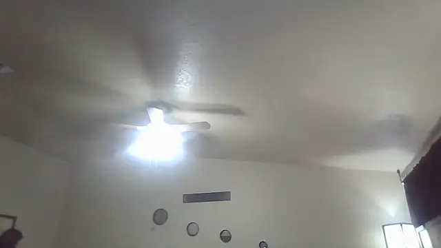 bootiebby online show from January 16, 2026, 10:52 am