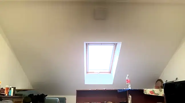 WildzMareNextLevel online show from January 4, 2025, 6:52 am