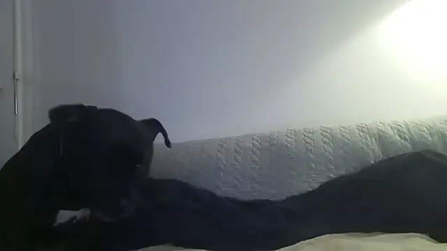 Elosexxy online show from September 24, 2025, 7:09 pm