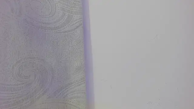 KendalStallyon online show from November 26, 2025, 8:53 pm