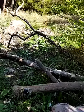 K-27 online show from October 4, 2025, 10:28 am