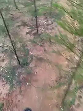 Gopal1243 online show from January 19, 2025, 1:53 am