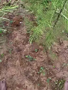 Gopal1243 online show from December 9, 2024, 3:29 am