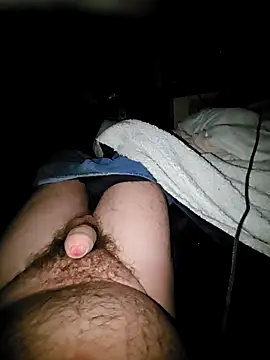 Snapshot of thefox92 chatting on February 4, 2025, 12:40 am thefox92 online show from February 4, 2025, 12:40 am