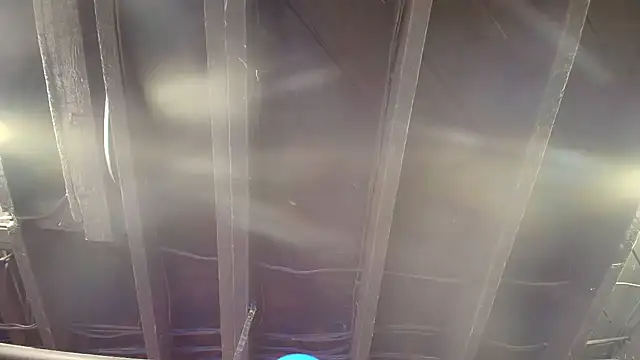 cumhungrybottom4u online show from March 6, 2026, 4:29 am