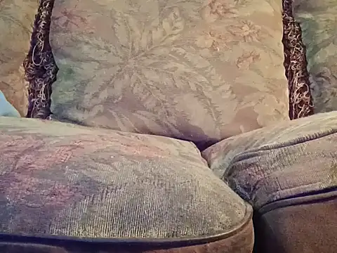 Snapshot of highstepper500 chatting on December 2, 2025, 7:54 am highstepper500 online show from December 2, 2025, 7:54 am