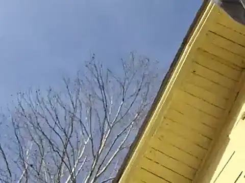 Snapshot of highstepper500 chatting on December 26, 2024, 5:15 am highstepper500 online show from December 26, 2024, 5:15 am