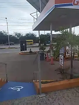 sagrado 1989 online show from January 12, 2026, 10:03 pm