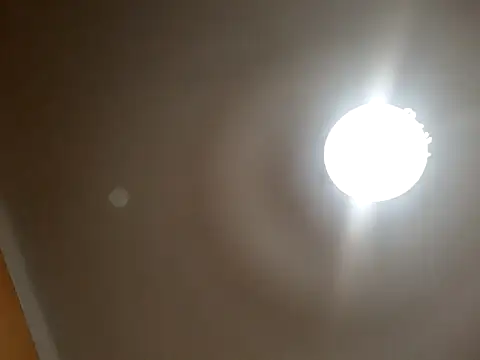 Snapshot of White_rabbit_ chatting on September 10, 2025, 8:52 pm White rabbit  online show from September 10, 2025, 8:52 pm